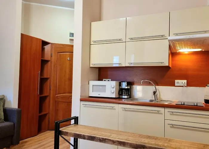 Everysky - Wilcza 3a * 카르파츠