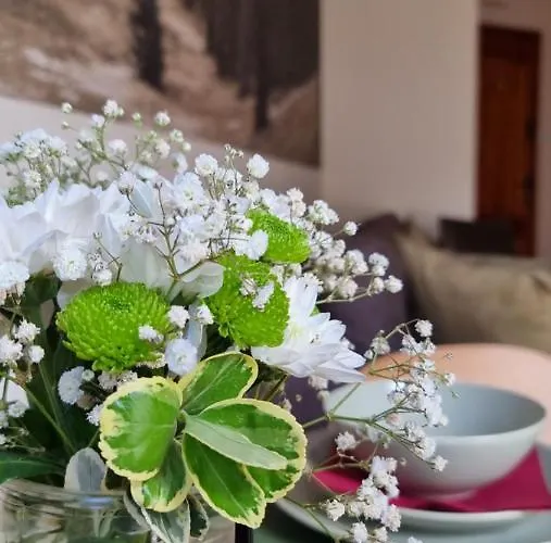 Everysky - Wilcza 3a 카르파츠